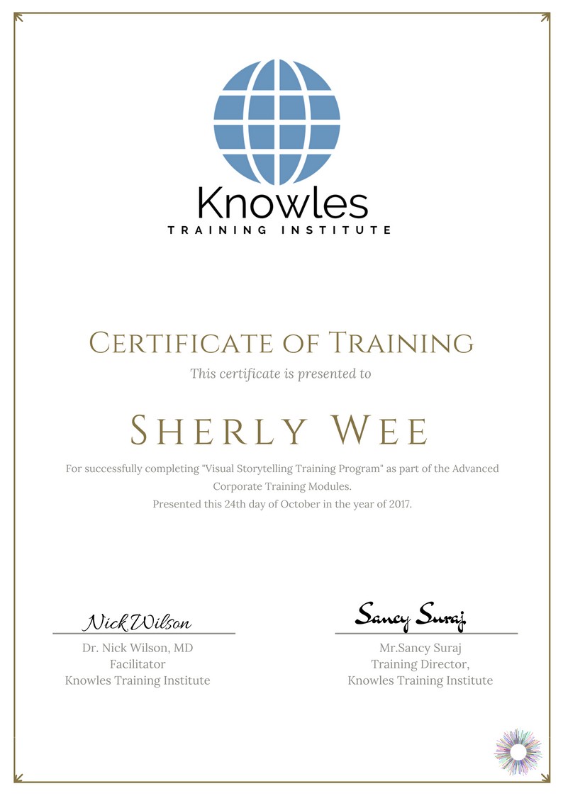 Certification For Visual Storytelling Course in Sweden