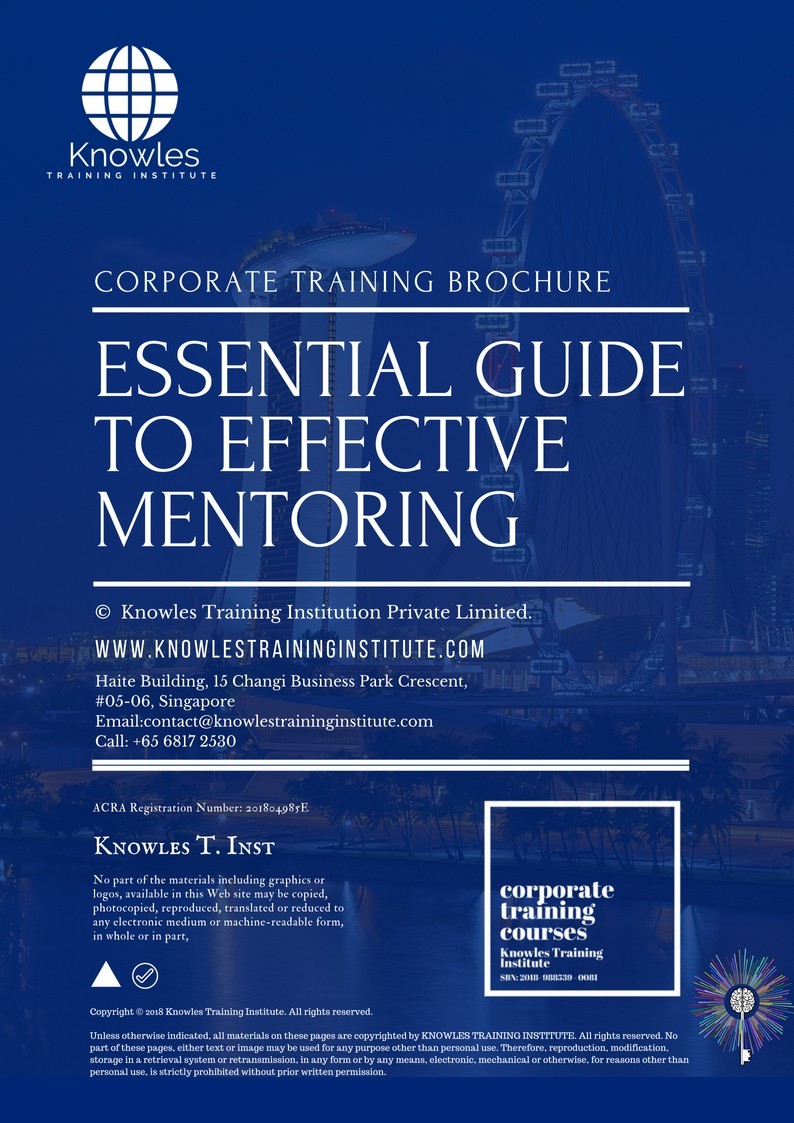 Essential Guide To Effective Mentoring Course in Sweden Brochure